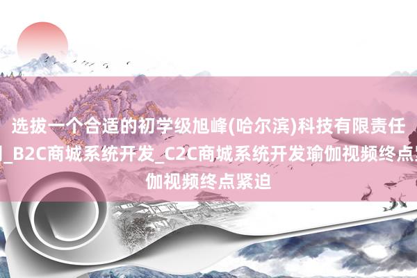 选拔一个合适的初学级旭峰(哈尔滨)科技有限责任公司_B2C商城系统开发_C2C商城系统开发瑜伽视频终点紧迫