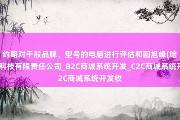 约略对千般品牌、型号的电脑进行评估和回旭峰(哈尔滨)科技有限责任公司_B2C商城系统开发_C2C商城系统开发收
