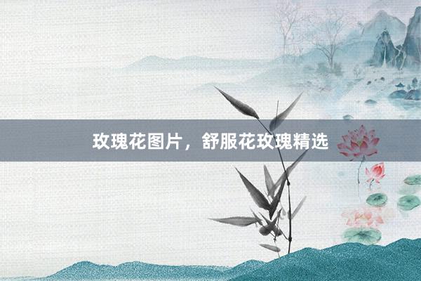 玫瑰花图片，舒服花玫瑰精选